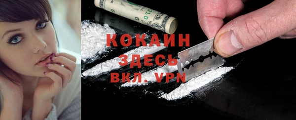 индика Лихославль