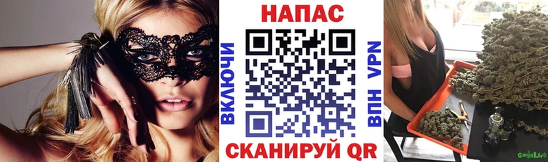 МАРИХУАНА сатива  Арзамас 